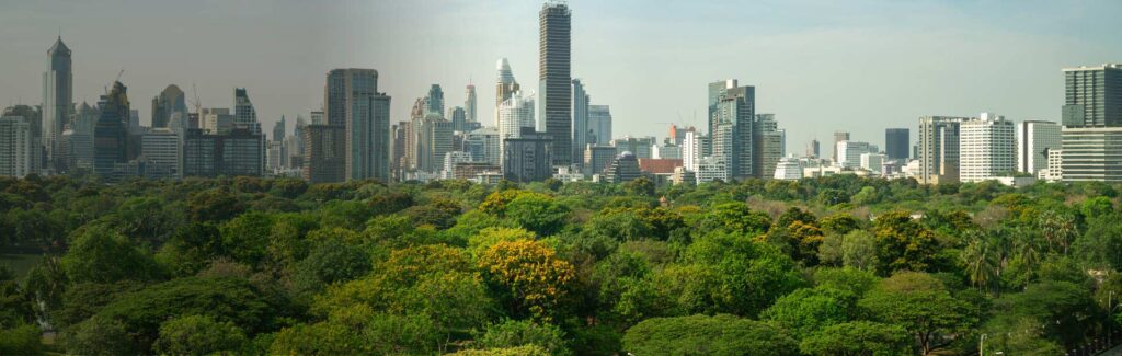 CASA DEL FUTURO GREEN