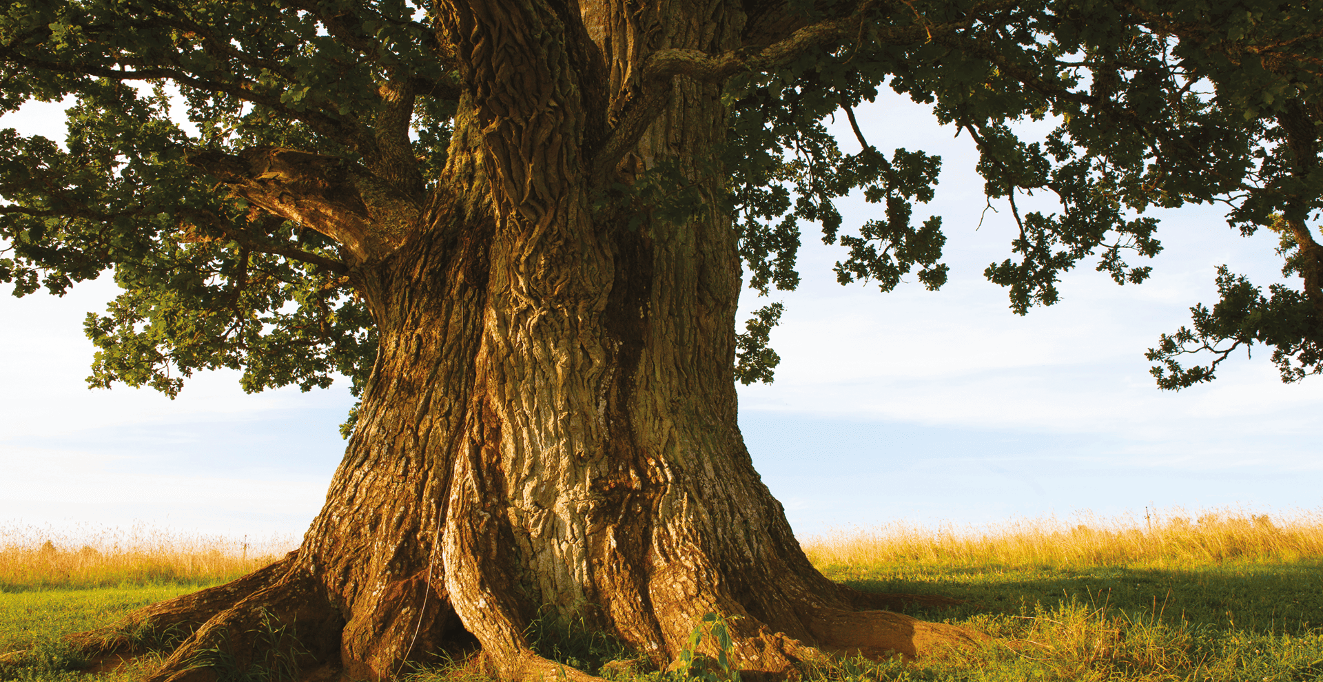 Groupama Futuro Garantito